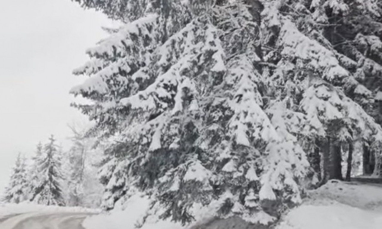 OVAJ PRIZOR JE ČAROBAN! U ovom delu Srbije ponovo veje sneg, sve se zabelelo (VIDEO)