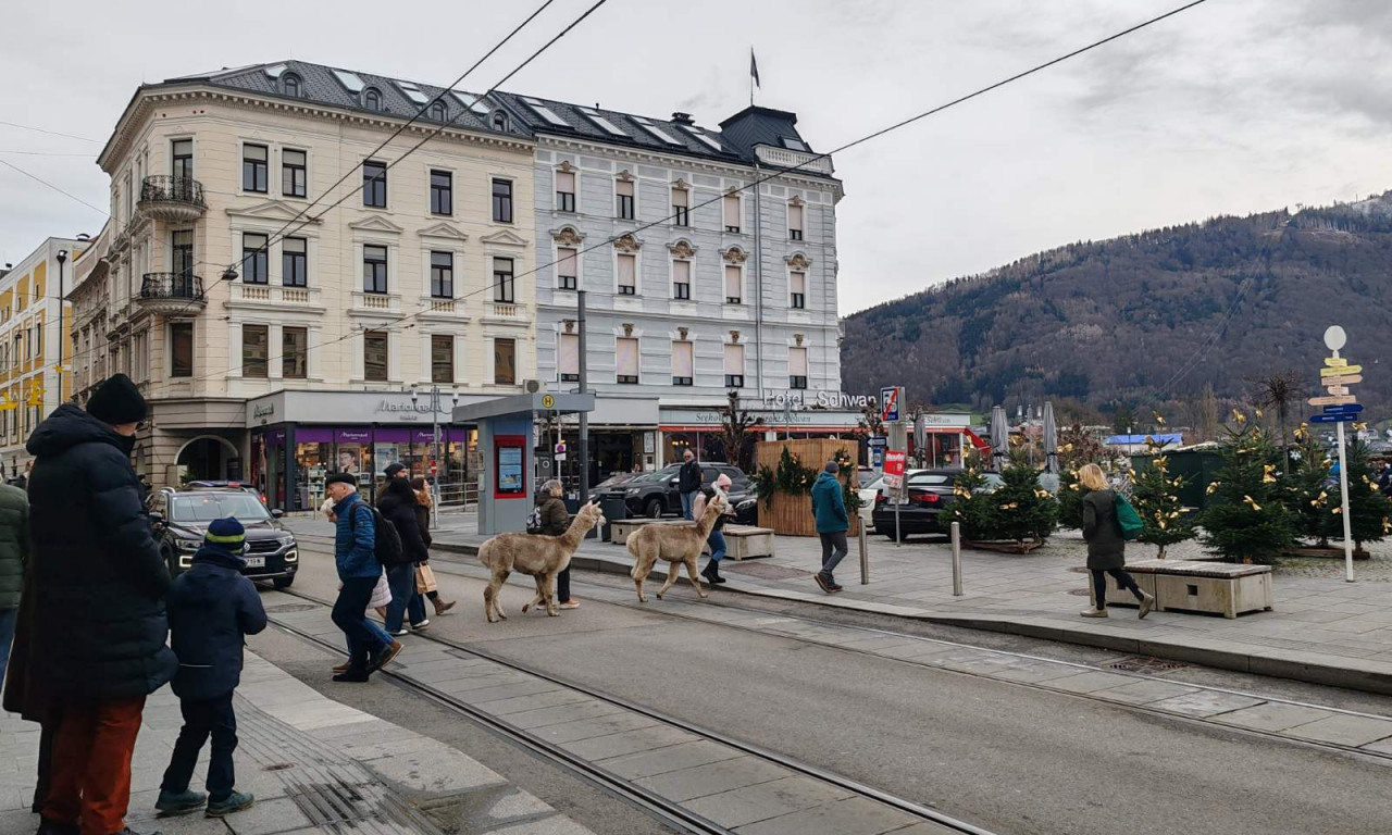 PRIZOR KOJI JE SVE OSTAVIO U NEVERICI! Vlasnici prošetali svoje neobične ljubimce, pa uveselili sve (FOTO+VIDEO)