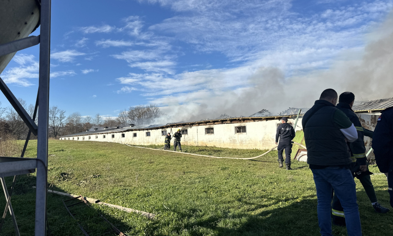 VATRU GASE I MEŠTANI Stravične scene na farmi pilića u Vranićima - gori hala od 1.000 kvadratnih metara (FOTO+VIDEO)