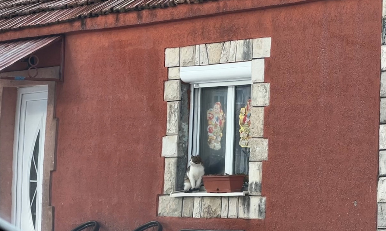 "UBIO JE DECU NA PRAGU KUĆE" Na prozorima novogodišnji ukrasi, a u domu muk! Evo kako izgleda naselje smrti (FOTO)