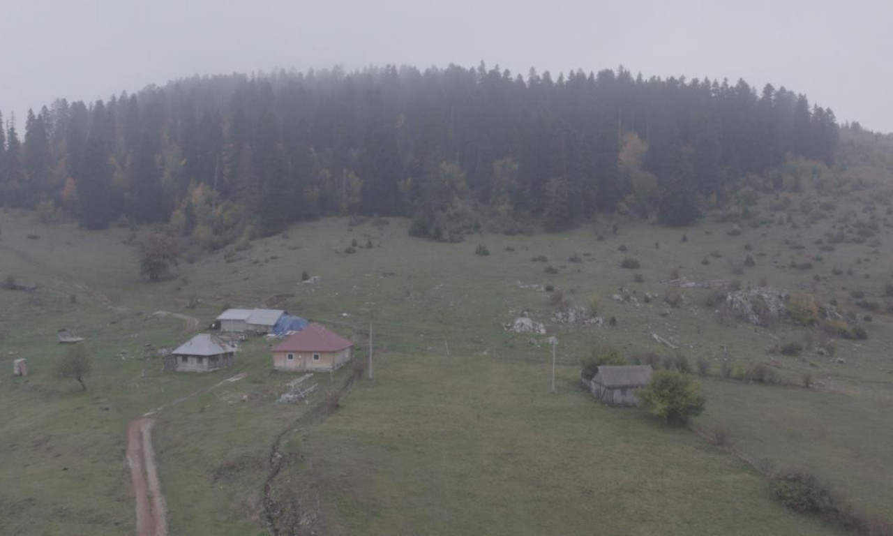 OVA ŠUMA U SRBIJI JE PROKLETA: Niko ne sme da uzme grančicu, ko se ohrabri da uzme loše prođe! (FOTO)