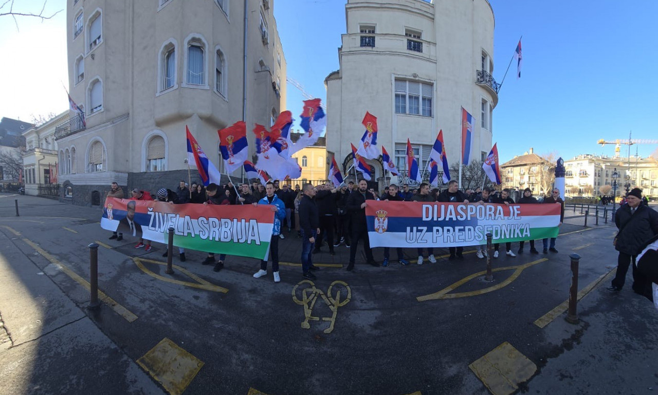 DIJASPORA JE UZ PREDSEDNIKA Srbi u Mađarskoj dali podršku Vučiću (FOTO)