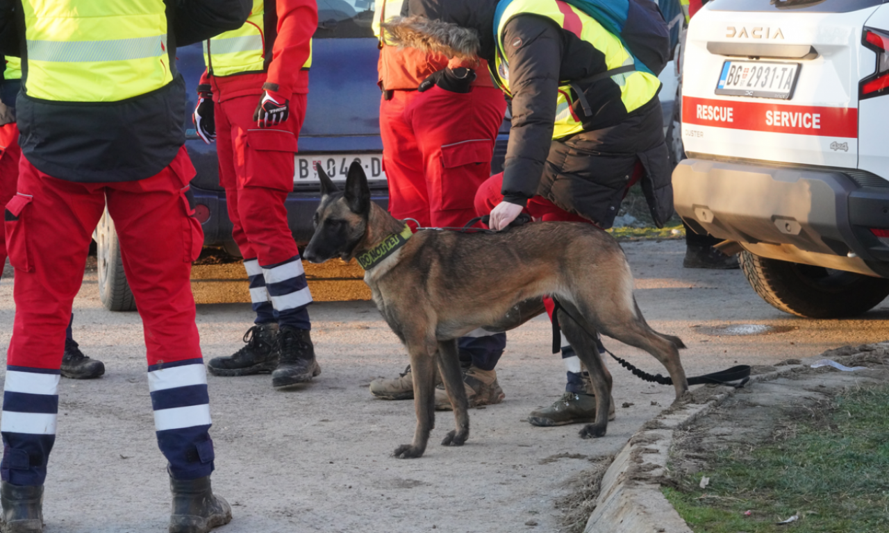 U PSA KOJI JE SPASIO MALU DUNJU SPASILAČKE SLUŽBE IMAJU NAJVIŠE POVERENJA Evo zašto je maliona nenadmašan u traganju